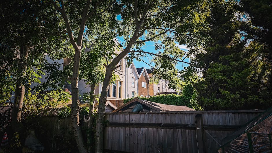 The image shows a view from a backyard enclosed by a weathered wooden fence with horizontal panels and a gate, with mature trees providing partial shade. In the background, multi-storey residential buildings with windows and pitched roofs are visible under a bright blue sky. Inside the yard, several cardboard boxes and transparent plastic wrapping materials are arranged on the ground, indicating packing activity. Partially visible moving equipment, such as a trolley or dolly, can be seen near the boxes. The scene suggests an active home relocation process, possibly involving furniture transport and loading into a van. This setting aligns with professional removals services, such as those offered by Man and Van Highbury, supporting efficient packing, moving, and furniture transport near Highbury Fields.